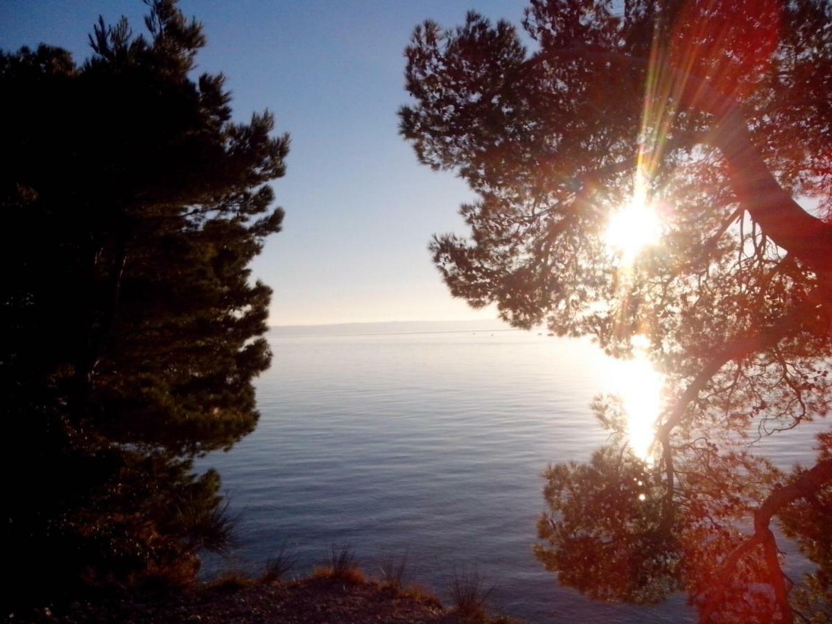 Apartman Robertino 1966 Makarska Exterior foto